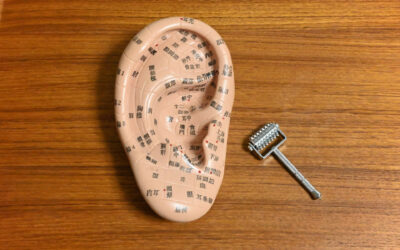 ー耳つぼダイエットのツボ位置を知って無理なく続けるための基本ガイドー