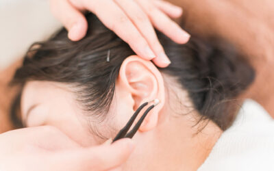 ー耳つぼダイエットの種類を比較しながら自分に合う取り入れ方を見つける方法ー