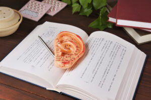 ー耳つぼダイエットの資格は必要？国家資格と民間資格の違い、安心して学ぶ選び方ー